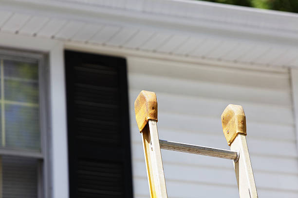 Best Storm Damage Siding Repair  in Pecan Grove, TX