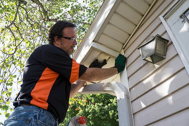 Best Siding Painting and Refinishing  in Pecan Grove, TX